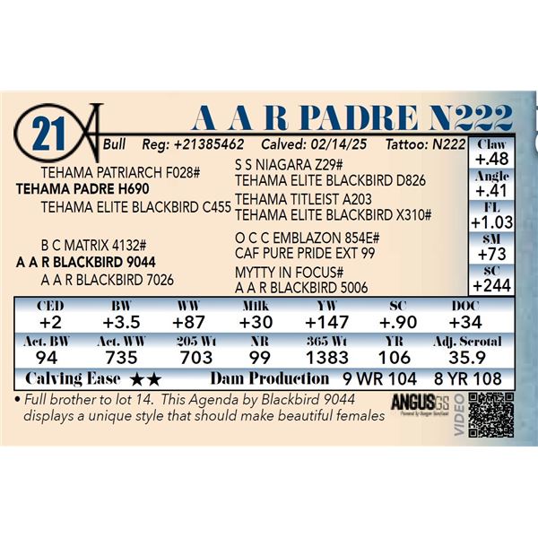 A A R Padre N222