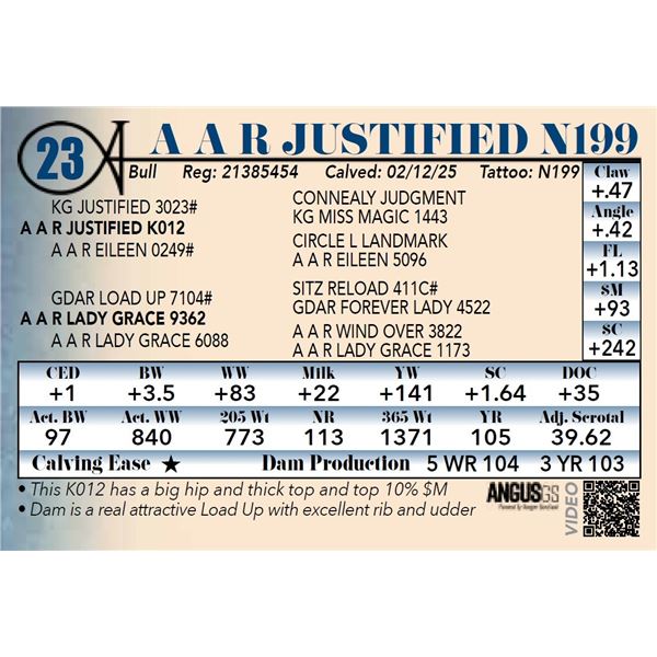 A A R Justified N199