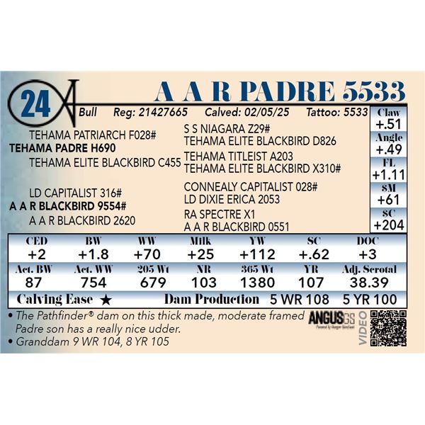A A R Padre 5533