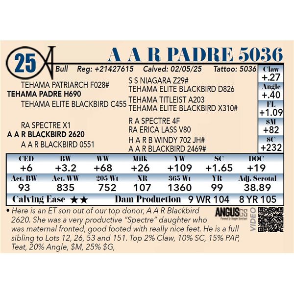 A A R Padre 5036