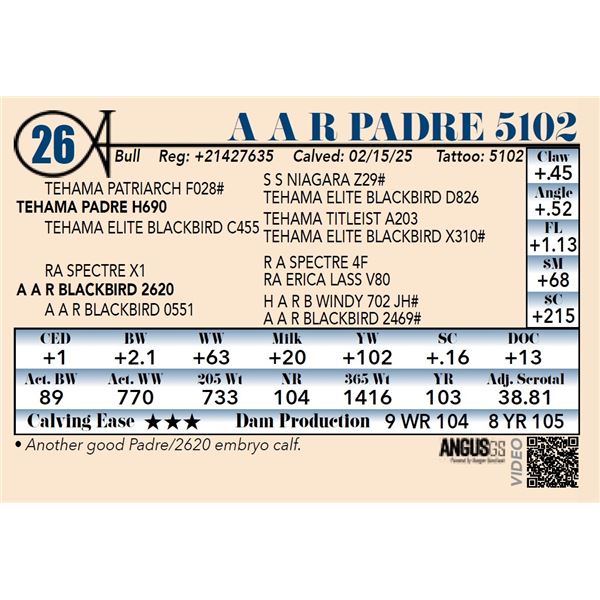 A A R Padre 5102