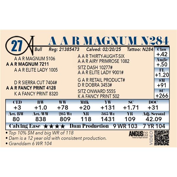 A A R Magnum N284