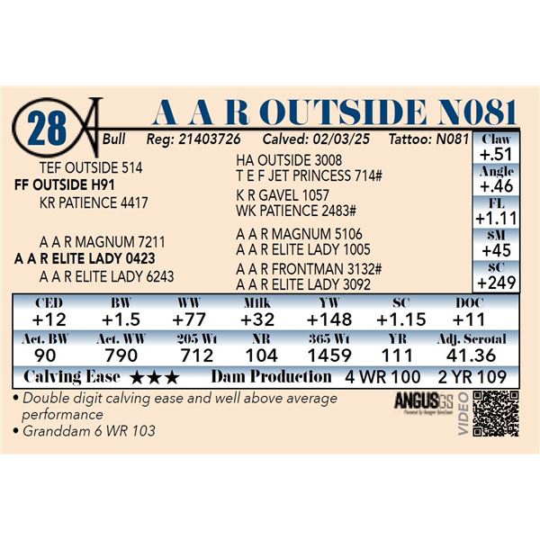 A A R Outside N081