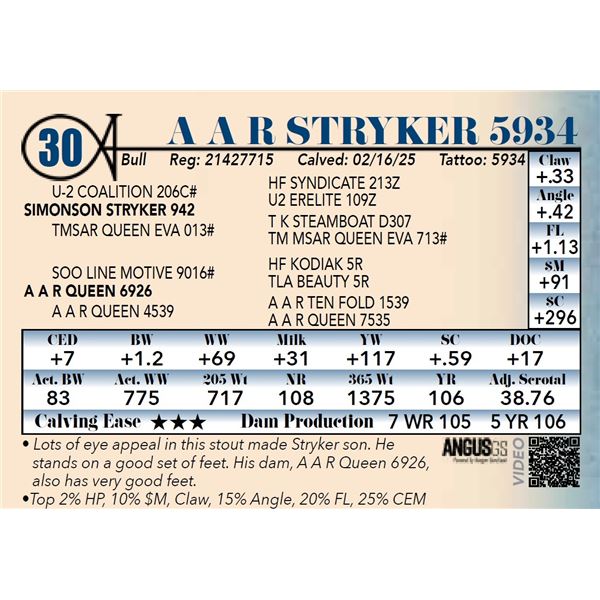 A A R Stryker 5934