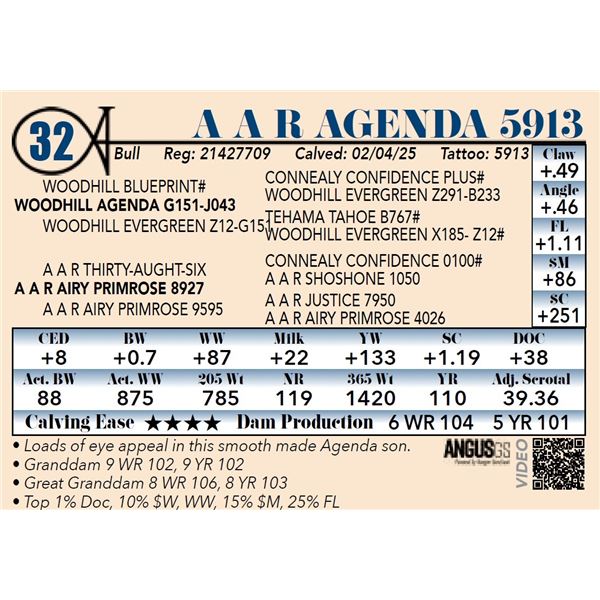A A R Agenda 5913
