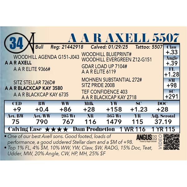 A A R Axell 5507
