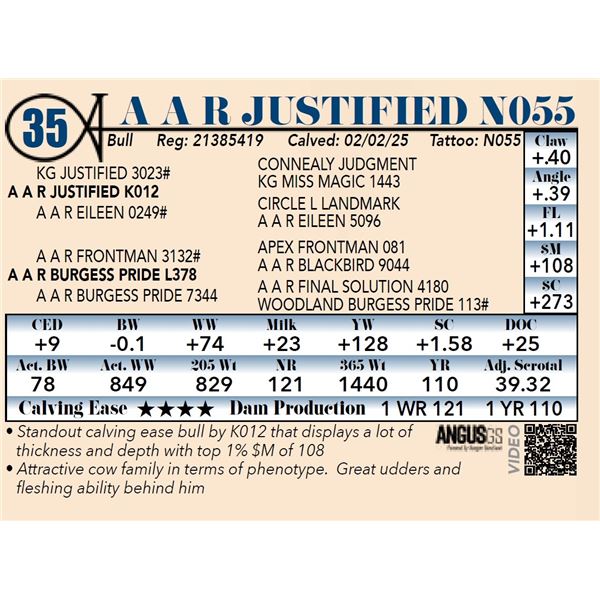 A A R Justified N055