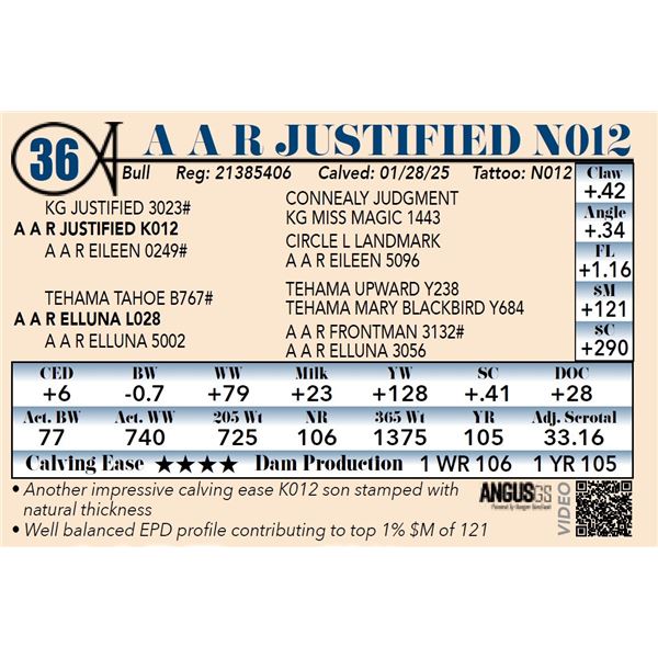 A A R Justified N012