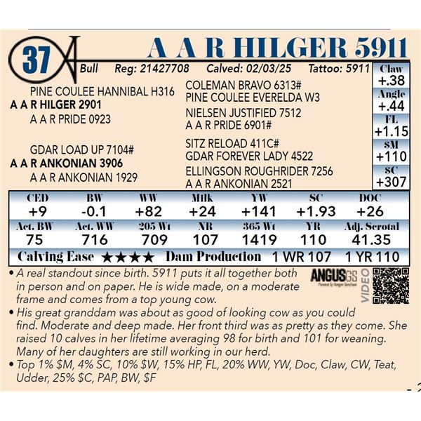 A A R Hilger 5911