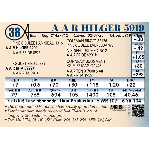 A A R Hilger 5919
