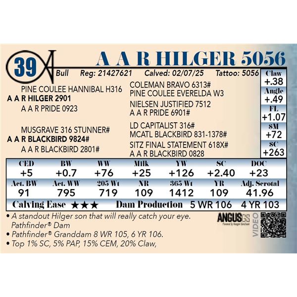 A A R Hilger 5056