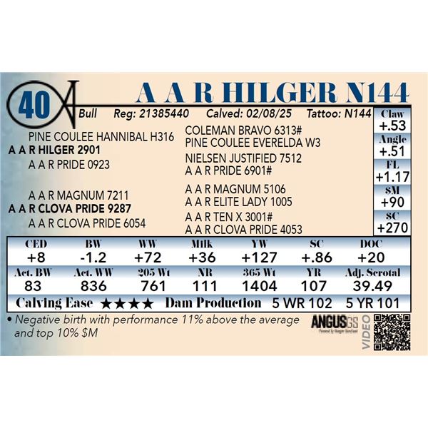 A A R Hilger N144