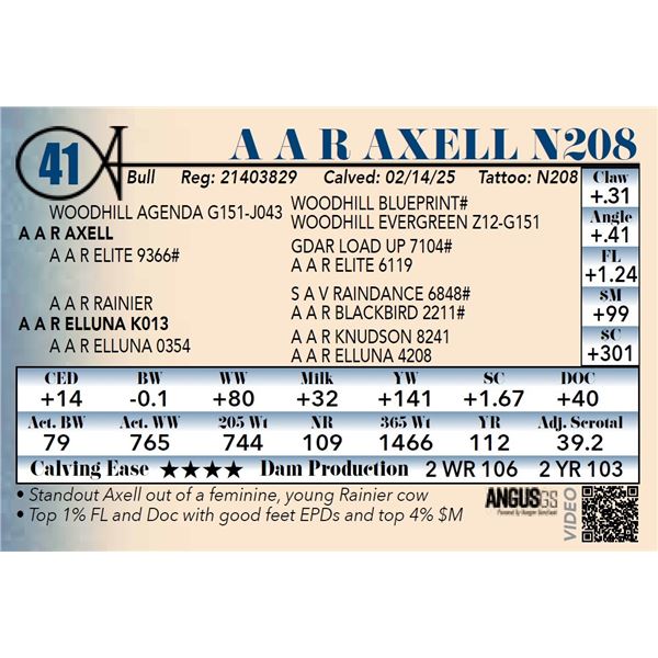 A A R Axell N208