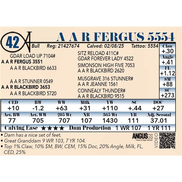 A A R Fergus 5554