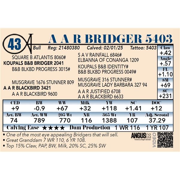 A A R Bridger 5403