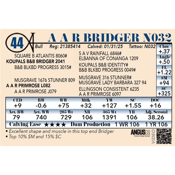 A A R Bridger N032