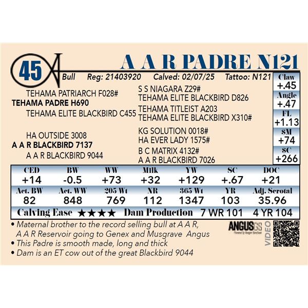 A A R Padre N121