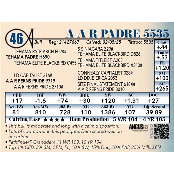 A A R Padre 5535