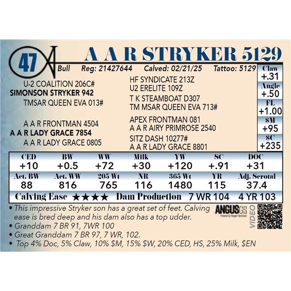 A A R Stryker 5129