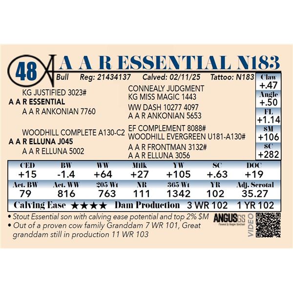 A A R Essential N183