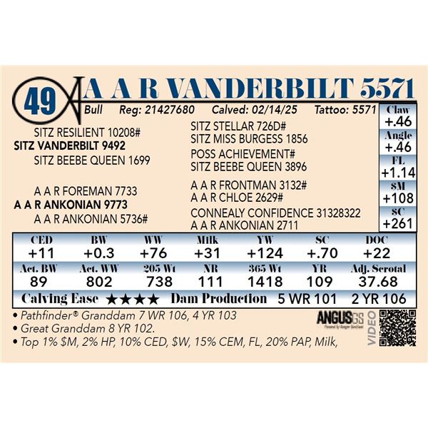 A A R Vanderbilt 5571