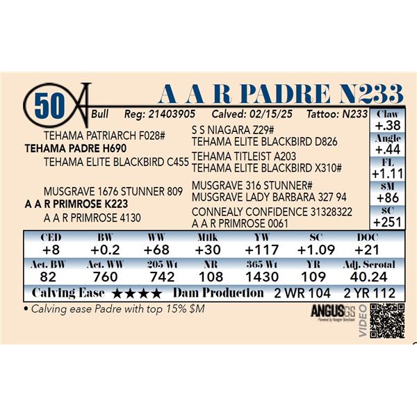 A A R Padre N233