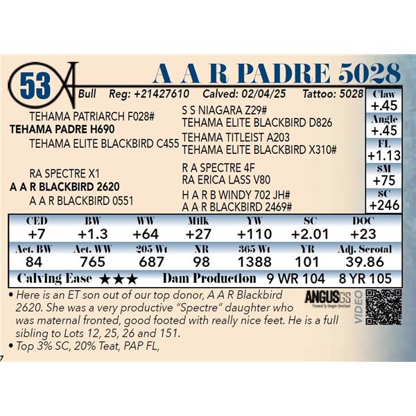 A A R Padre 5028