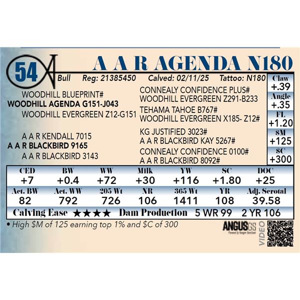 A A R Agenda N180