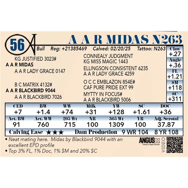 A A R Midas N263