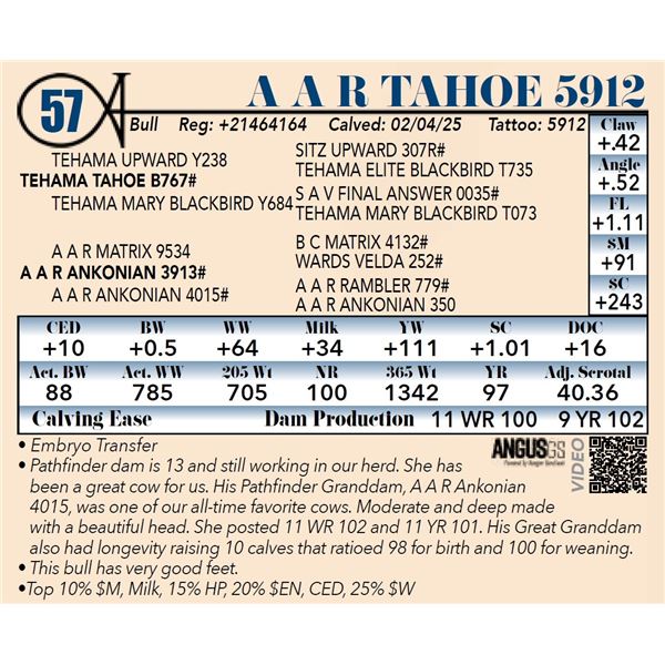 A A R Tahoe 5912