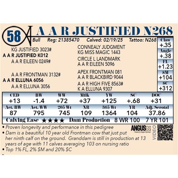 A A R Justified N268