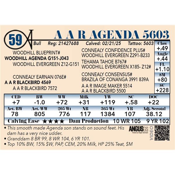 A A R Agenda 5603