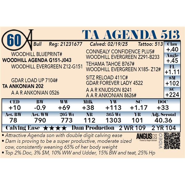 TA Agenda 513