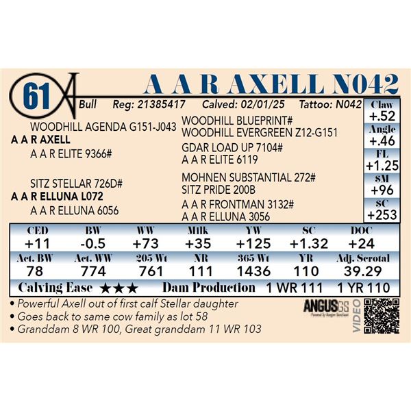 A A R Axell N042