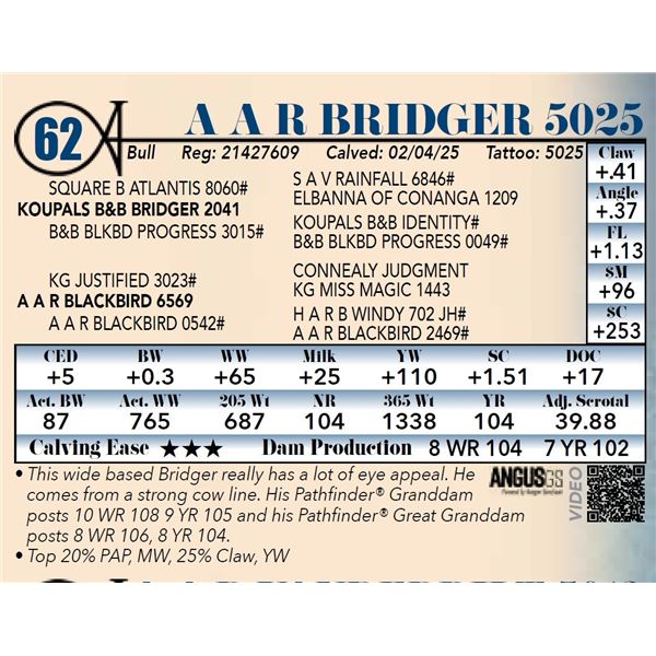 A A R Bridger 5025
