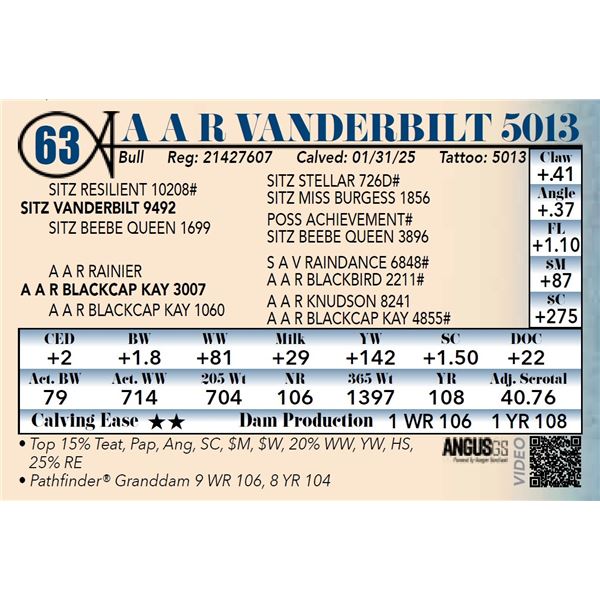 A A R Vanderbilt 5013