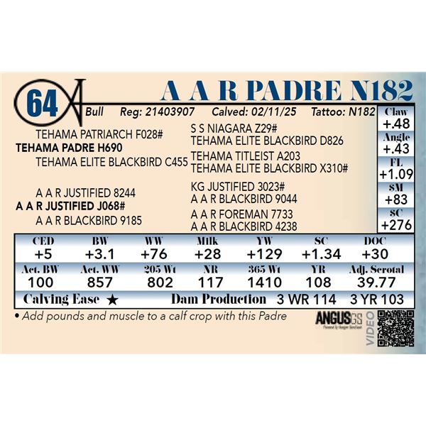 A A R Padre N182