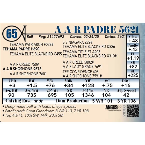 A A R Padre 5621