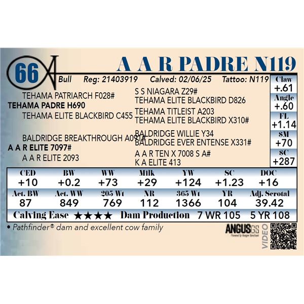 A A R Padre N119