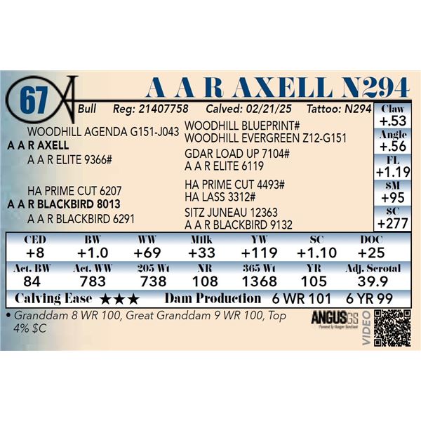 A A R Axell N294