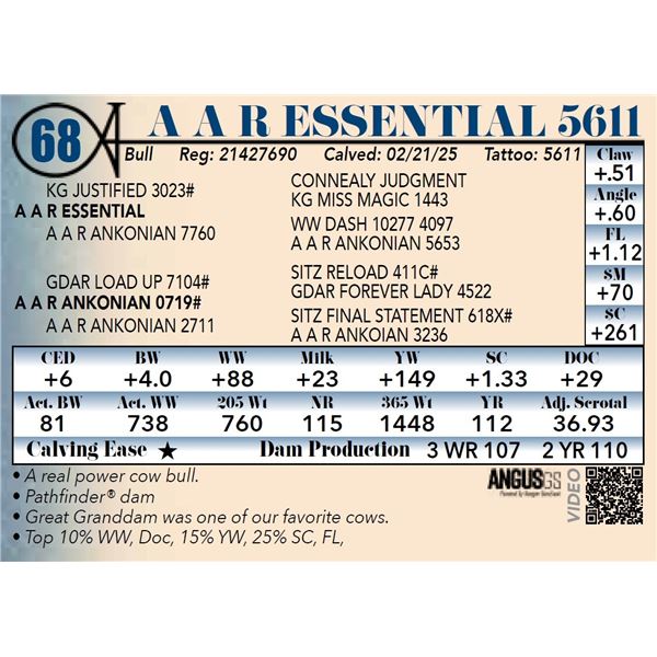 A A R Essential 5611