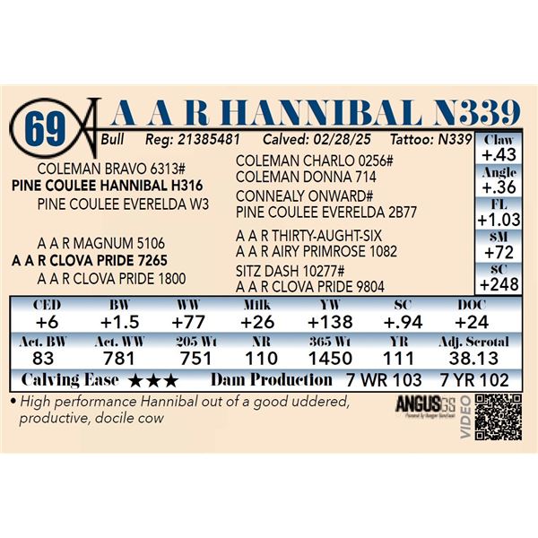 A A R Hannibal N339