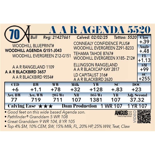 A A R Agenda 5520