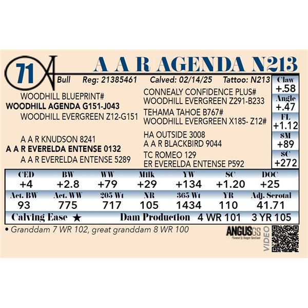 A A R Agenda N213