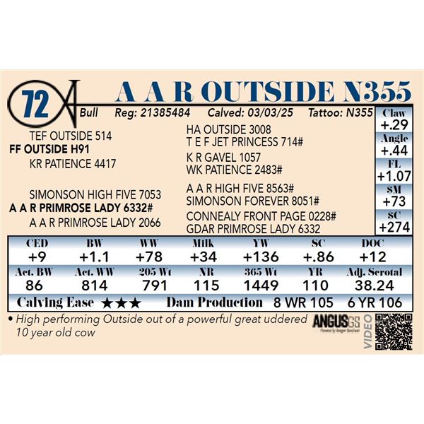 A A R Outside N355