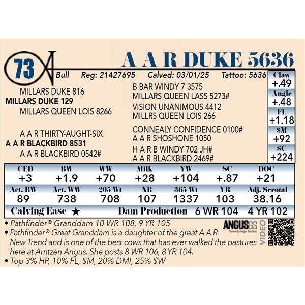 A A R Duke 5636