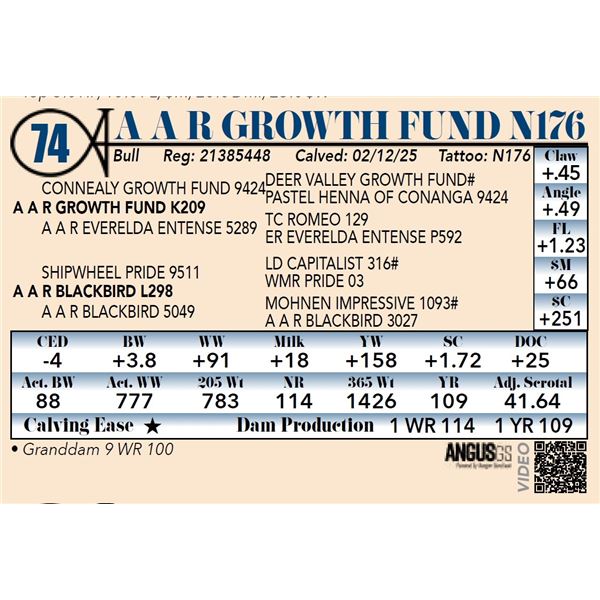 A A R Growth Fund N176