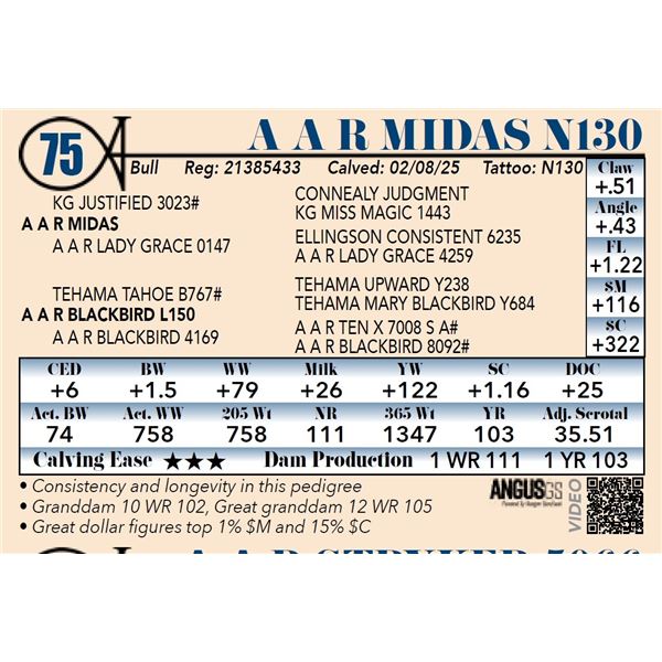 A A R Midas N130