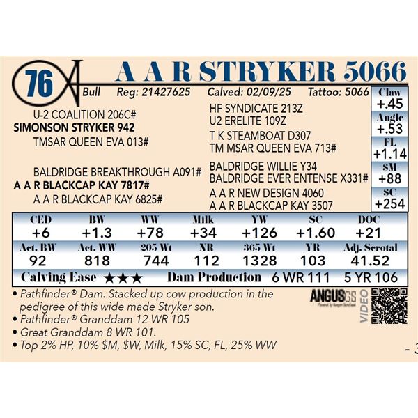 A A R Stryker 5066