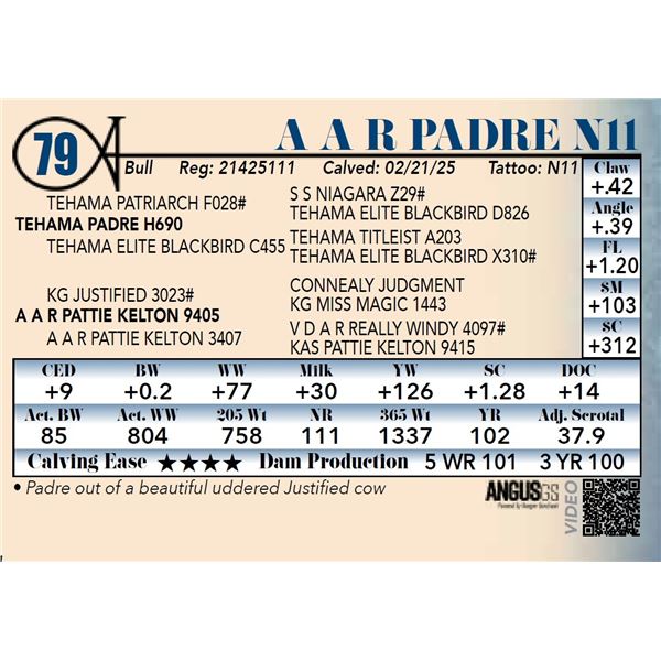 A A R Padre N11